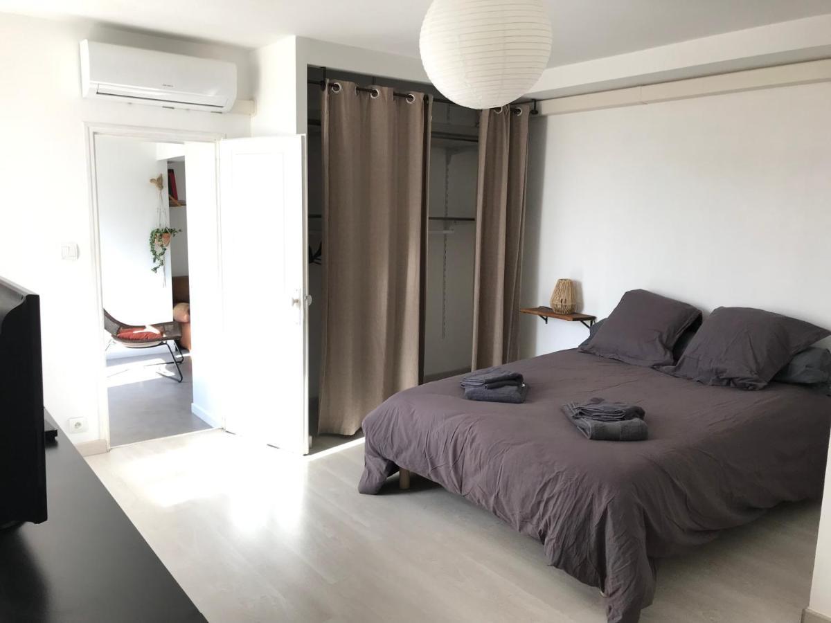 Appartement Climatise Avec Terrasse 카르카손 외부 사진